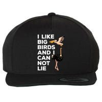 I Like Big Birds And I Can Not Lie Cute Gift Wool Snapback Cap