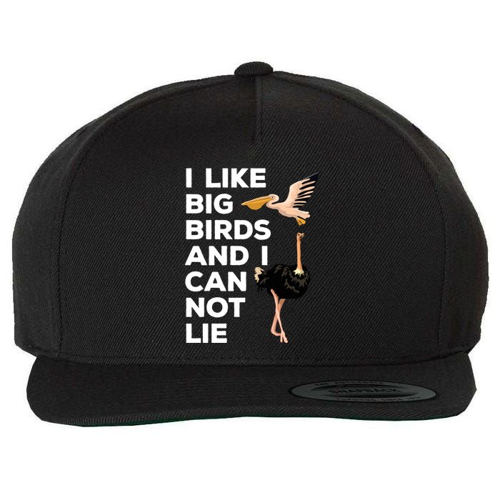 I Like Big Birds And I Can Not Lie Cute Gift Wool Snapback Cap