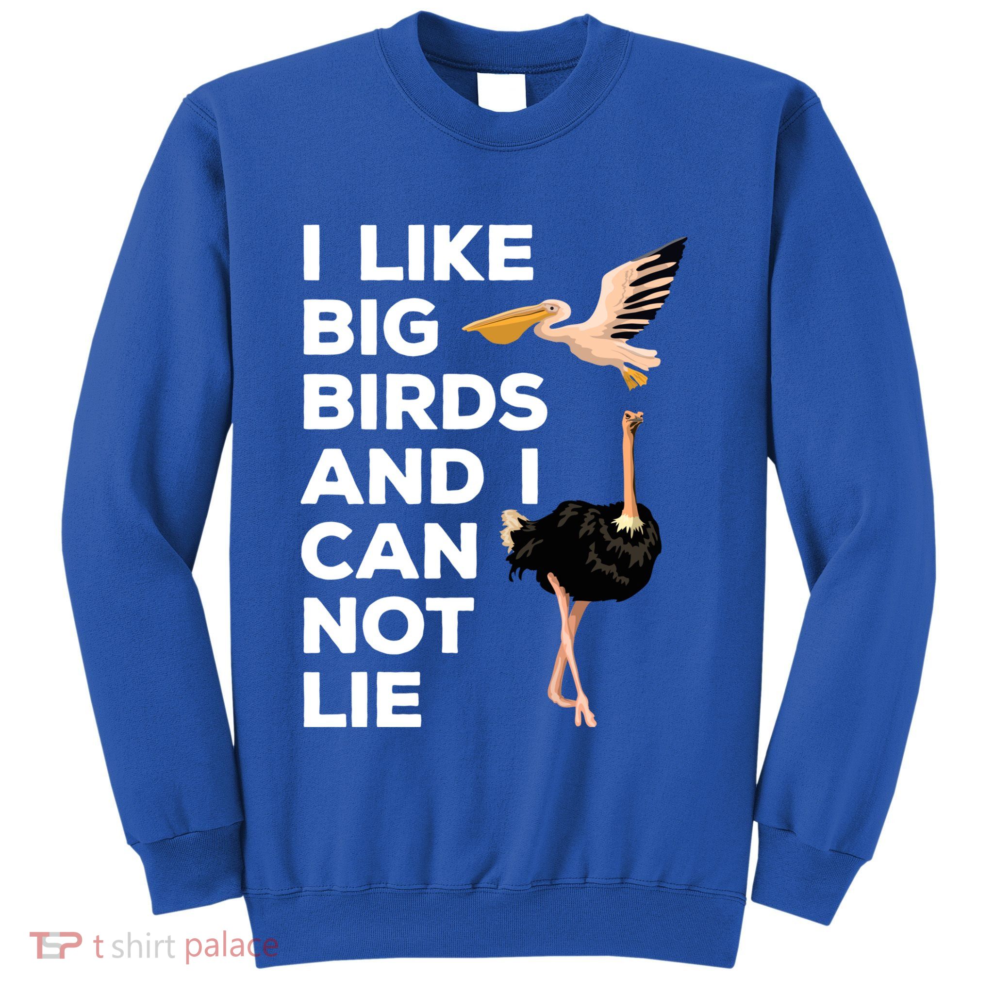 I Like Big Birds And I Can Not Lie Cute Gift Sweatshirt