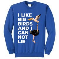 I Like Big Birds And I Can Not Lie Cute Gift Sweatshirt