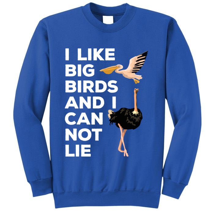 I Like Big Birds And I Can Not Lie Cute Gift Sweatshirt
