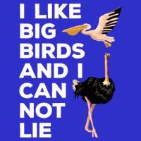 I Like Big Birds And I Can Not Lie Cute Gift Sweatshirt