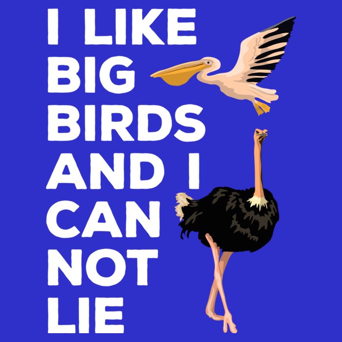 I Like Big Birds And I Can Not Lie Cute Gift Sweatshirt