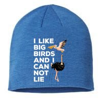 I Like Big Birds And I Can Not Lie Cute Gift Sustainable Beanie