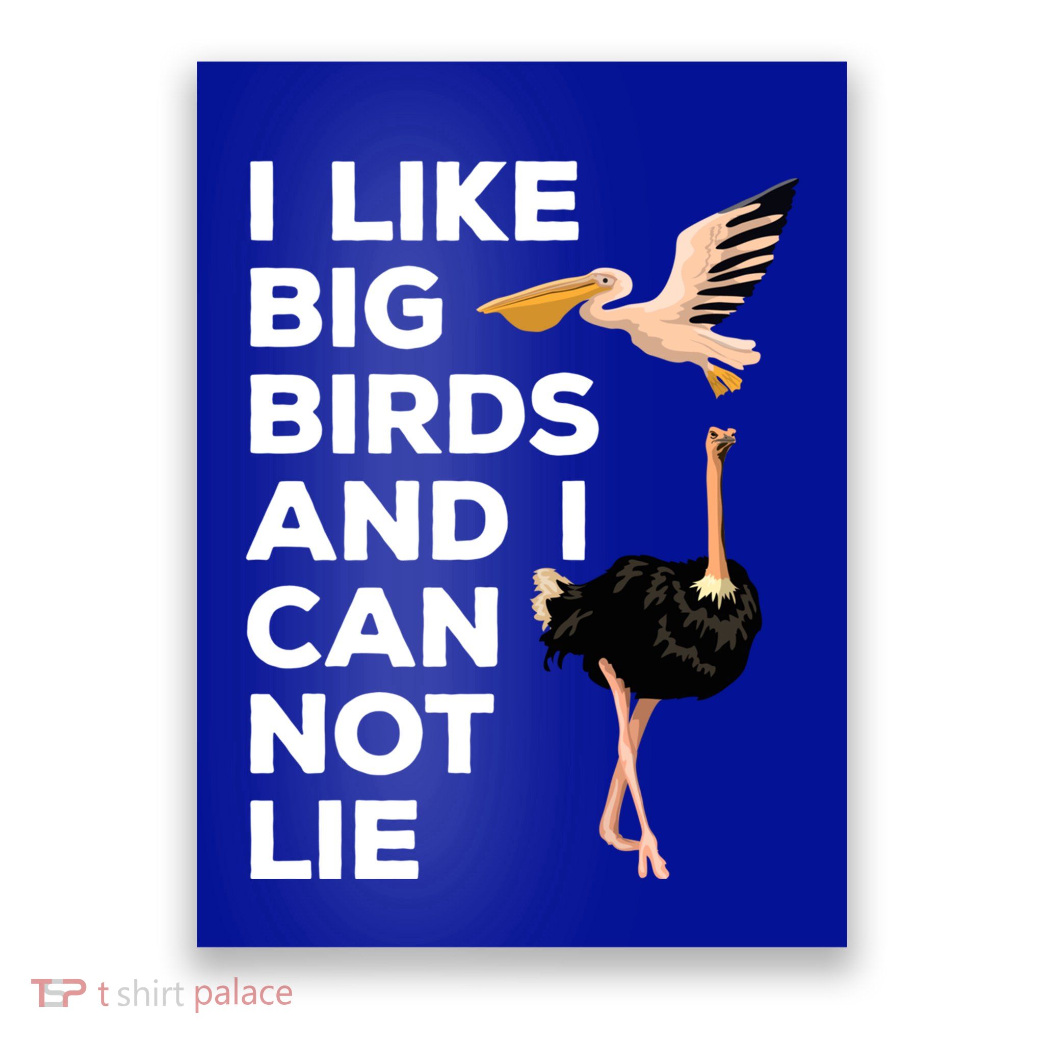 I Like Big Birds And I Can Not Lie Cute Gift Poster