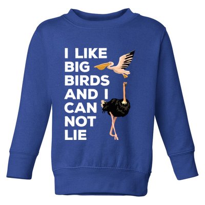 I Like Big Birds And I Can Not Lie Cute Gift Toddler Sweatshirt