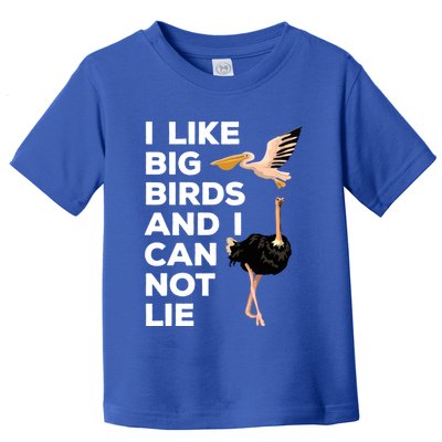 I Like Big Birds And I Can Not Lie Cute Gift Toddler T-Shirt