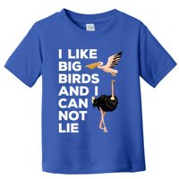 I Like Big Birds And I Can Not Lie Cute Gift Toddler T-Shirt