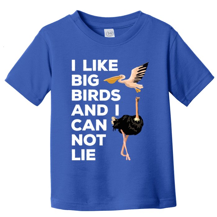 I Like Big Birds And I Can Not Lie Cute Gift Toddler T-Shirt