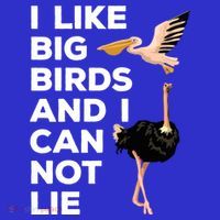 I Like Big Birds And I Can Not Lie Cute Gift Visor
