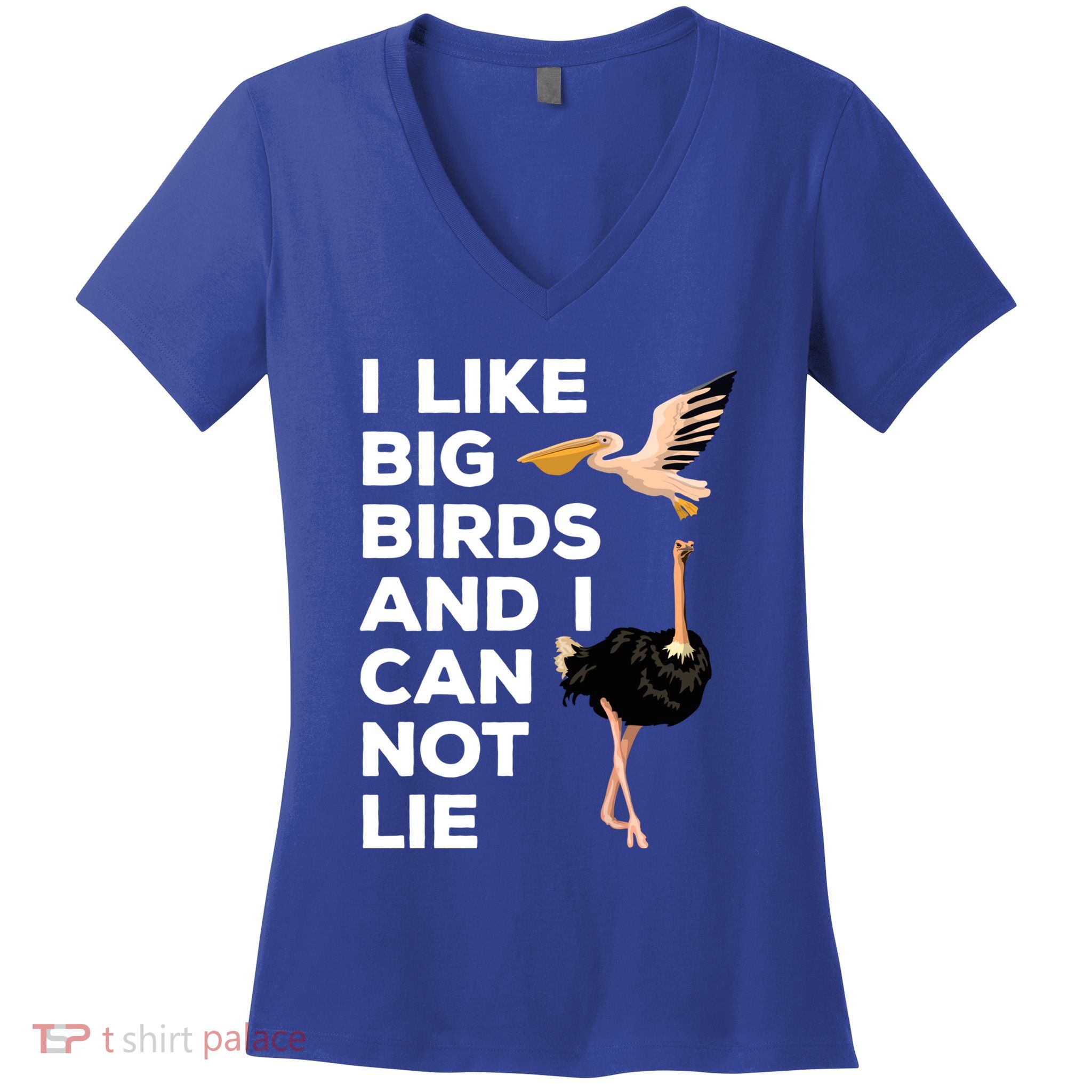 I Like Big Birds And I Can Not Lie Cute Gift Women's V-Neck T-Shirt