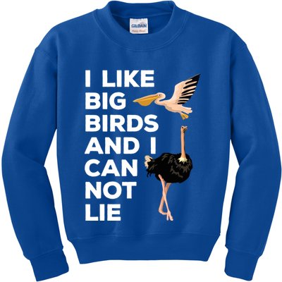 I Like Big Birds And I Can Not Lie Cute Gift Kids Sweatshirt
