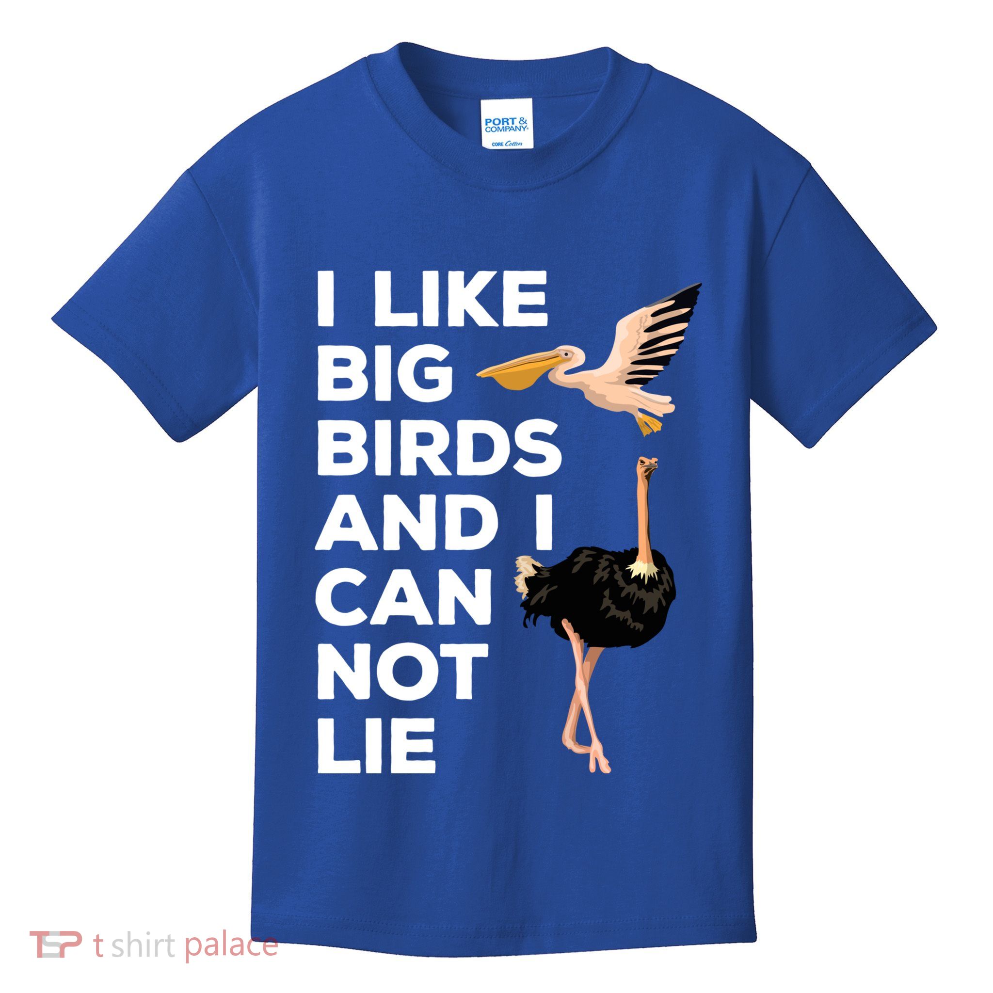 I Like Big Birds And I Can Not Lie Cute Gift Kids T-Shirt
