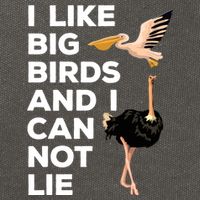 I Like Big Birds And I Can Not Lie Cute Gift Cotton Canvas Backpack