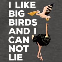 I Like Big Birds And I Can Not Lie Cute Gift Vector Backpack