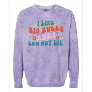 I Like Big Bulbs And I Can Not Lie Cute Gift Colorblast Crewneck Sweatshirt