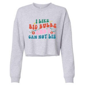 I Like Big Bulbs And I Can Not Lie Cute Gift Cropped Pullover Crew