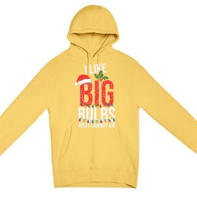 I Like Big Bulbs And Cannot Lie Funny Christmas Gift Great Gift Premium Pullover Hoodie