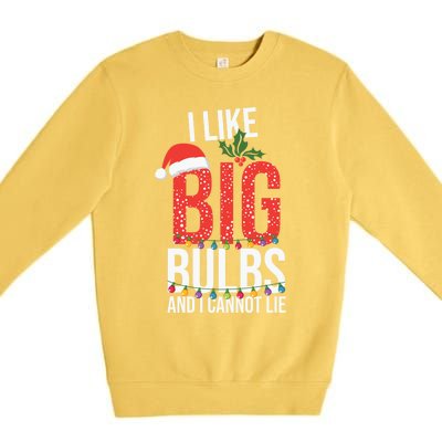 I Like Big Bulbs And Cannot Lie Funny Christmas Gift Great Gift Premium Crewneck Sweatshirt