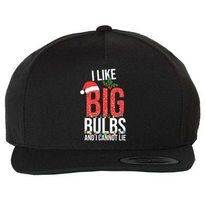 I Like Big Bulbs And Cannot Lie Funny Christmas Gift Great Gift Wool Snapback Cap
