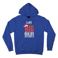 I Like Big Bulbs And Cannot Lie Funny Christmas Gift Great Gift Hoodie