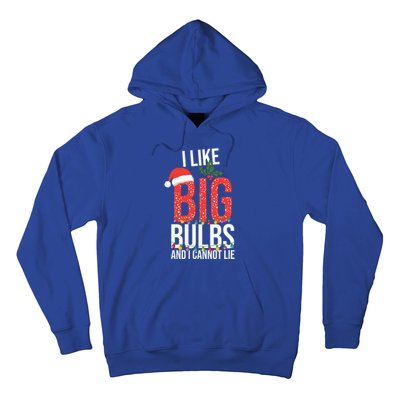 I Like Big Bulbs And Cannot Lie Funny Christmas Gift Great Gift Hoodie