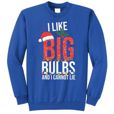 I Like Big Bulbs And Cannot Lie Funny Christmas Gift Great Gift Sweatshirt