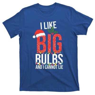 I Like Big Bulbs And Cannot Lie Funny Christmas Gift Great Gift T-Shirt