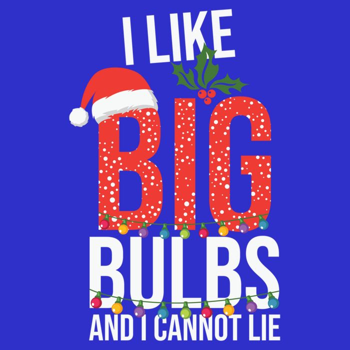 I Like Big Bulbs And Cannot Lie Funny Christmas Gift Great Gift 16 in Basic Backpack