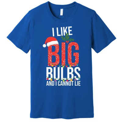 I Like Big Bulbs And Cannot Lie Funny Christmas Gift Great Gift Premium T-Shirt