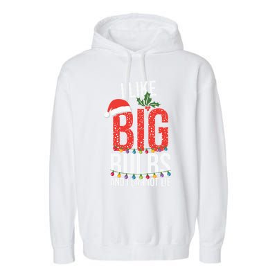 I Like Big Bulbs And Cannot Lie Funny Christmas Gift Great Gift Garment-Dyed Fleece Hoodie