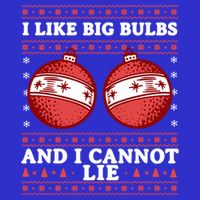 I Like Big Bulbs And I Cannot Lie Ugly Christmas Sweater Gift 16 in Basic Backpack