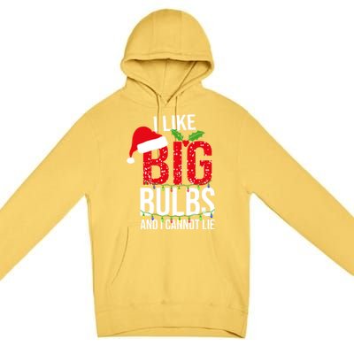 I Like Big Bulbs And Cannot Lie Christmas Light Decorator Gift Premium Pullover Hoodie