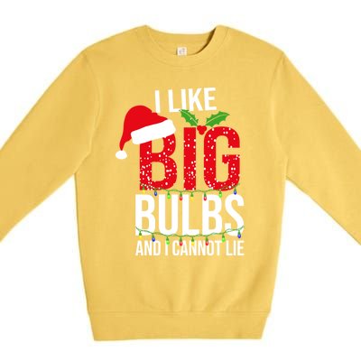 I Like Big Bulbs And Cannot Lie Christmas Light Decorator Gift Premium Crewneck Sweatshirt