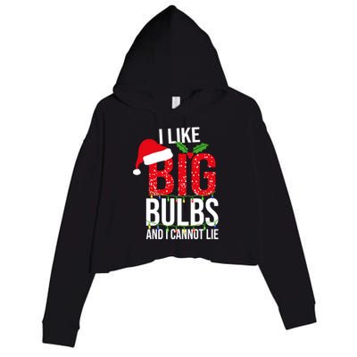 I Like Big Bulbs And Cannot Lie Christmas Light Decorator Gift Crop Fleece Hoodie