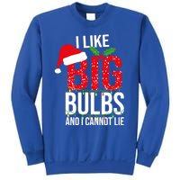 I Like Big Bulbs And Cannot Lie Christmas Light Decorator Gift Sweatshirt