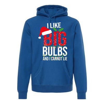 I Like Big Bulbs And Cannot Lie Christmas Light Decorator Gift Premium Hoodie