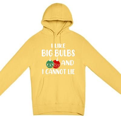 I Like Big Bulbs And I Cannot Lie Xmas Couples Matching Gift Premium Pullover Hoodie