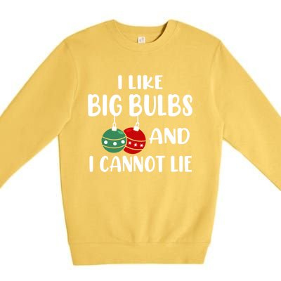 I Like Big Bulbs And I Cannot Lie Xmas Couples Matching Gift Premium Crewneck Sweatshirt