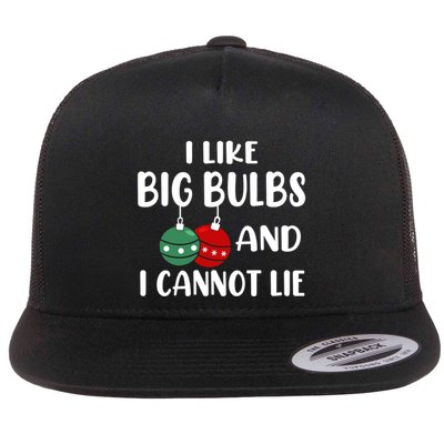 I Like Big Bulbs And I Cannot Lie Xmas Couples Matching Gift Flatbill Hat