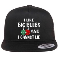I Like Big Bulbs And I Cannot Lie Xmas Couples Matching Gift Flatbill Hat