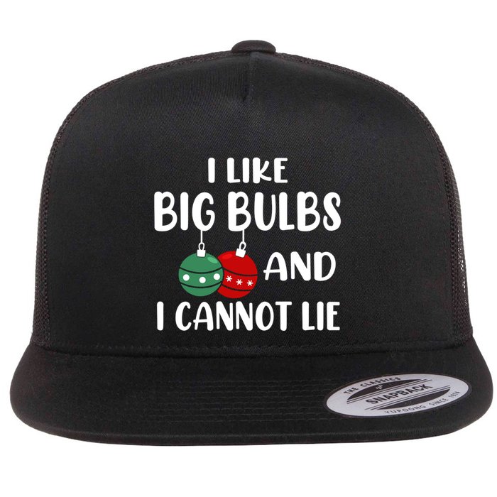 I Like Big Bulbs And I Cannot Lie Xmas Couples Matching Gift Flatbill Hat
