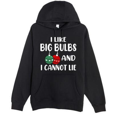 I Like Big Bulbs And I Cannot Lie Xmas Couples Matching Gift Premium Pullover Hoodie