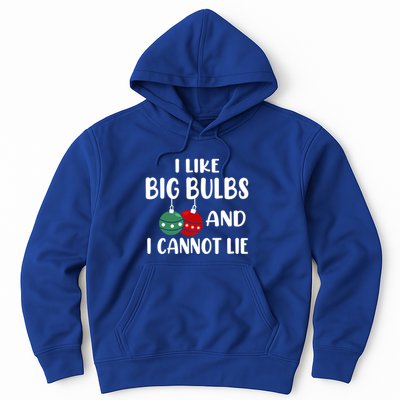 I Like Big Bulbs And I Cannot Lie Xmas Couples Matching Gift Hoodie