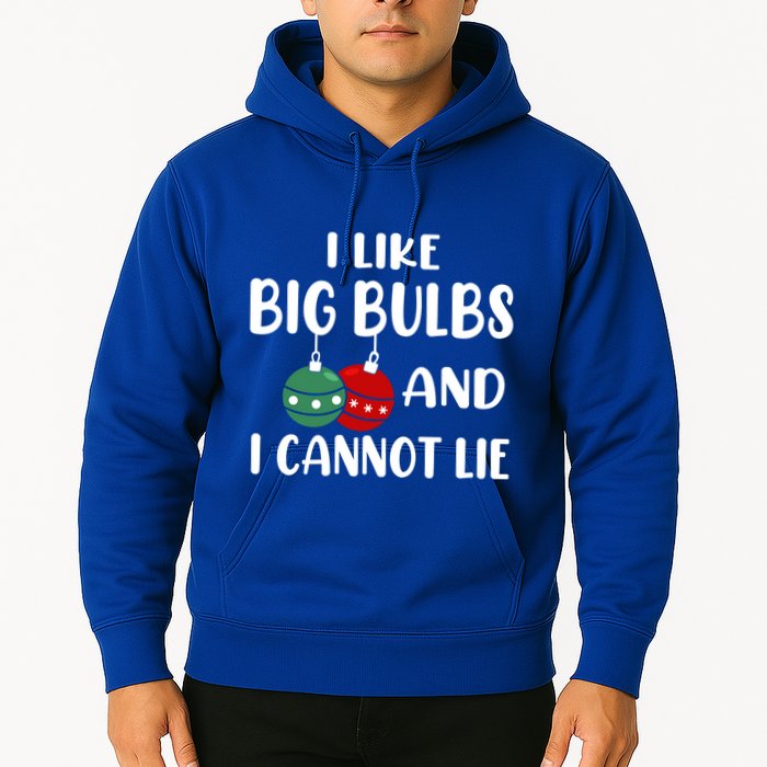 I Like Big Bulbs And I Cannot Lie Xmas Couples Matching Gift Hoodie