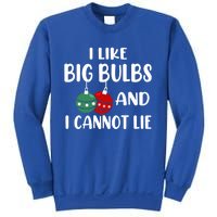 I Like Big Bulbs And I Cannot Lie Xmas Couples Matching Gift Sweatshirt