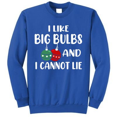 I Like Big Bulbs And I Cannot Lie Xmas Couples Matching Gift Sweatshirt