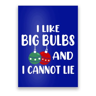 I Like Big Bulbs And I Cannot Lie Xmas Couples Matching Gift Poster
