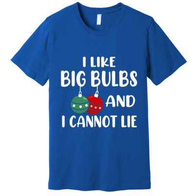 I Like Big Bulbs And I Cannot Lie Xmas Couples Matching Gift Premium T-Shirt