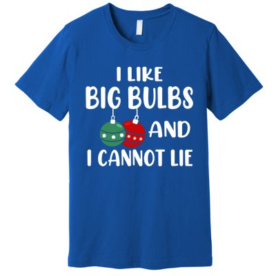 I Like Big Bulbs And I Cannot Lie Xmas Couples Matching Gift Premium T-Shirt